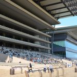 馬券で勝つ！？競馬の予想の仕方のコツ